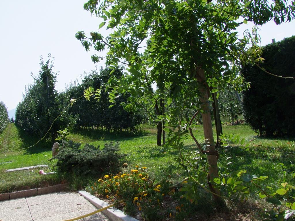 Agritur Fior di Melo Apartment Nanno Exterior foto